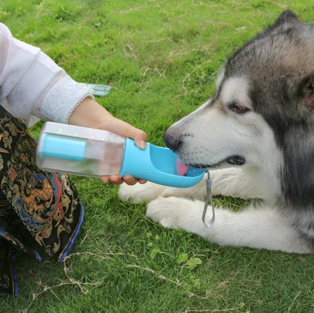 3-in-1 Pet Water & Food Bottle with Waste Bag Holder 🐶